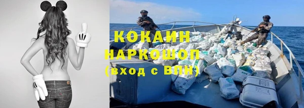 амф Арсеньев