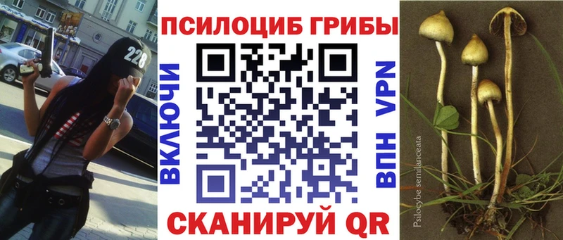 KRAKEN зеркало  Верхотурье  Галлюциногенные грибы мицелий 